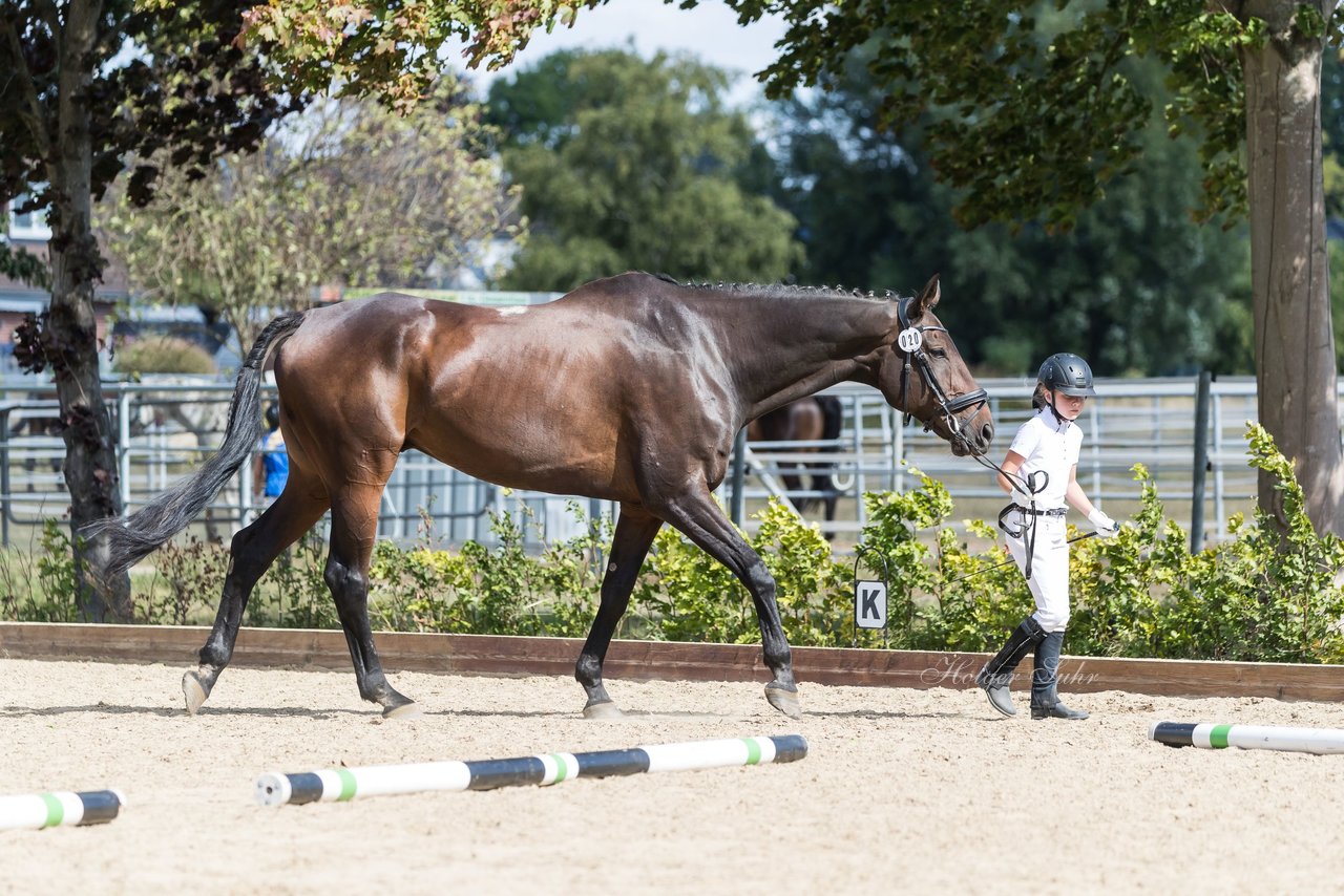 Bild 115 - Pony Akademie Turnier